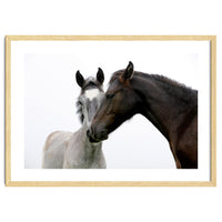 Two Horses