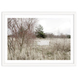 Abandoned Sofa in the middle of nowhere thumbnail