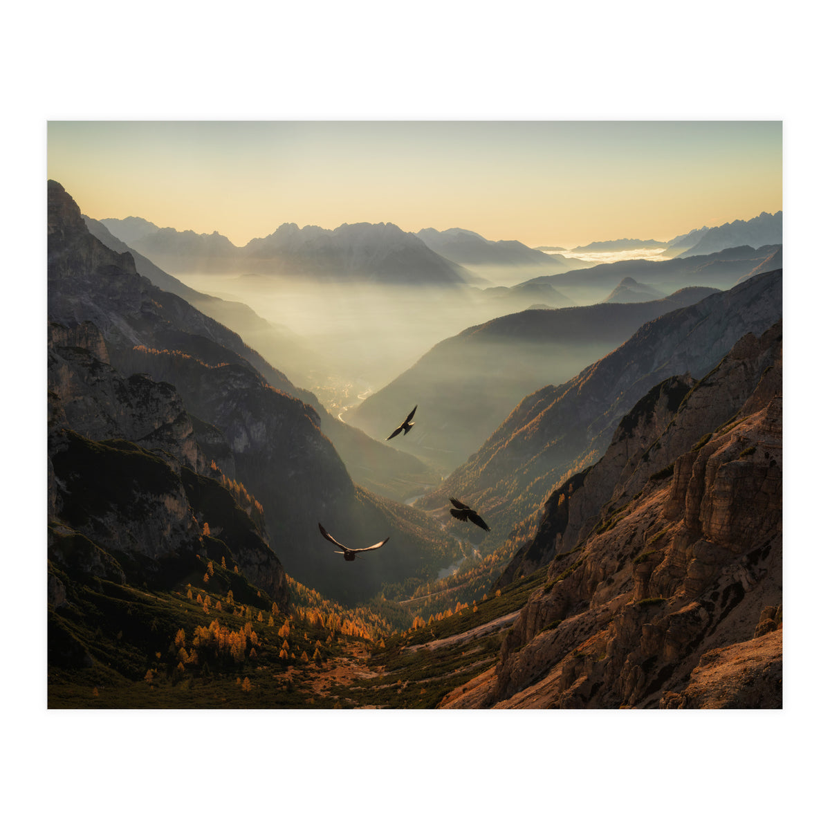 Fly away (Print Only)