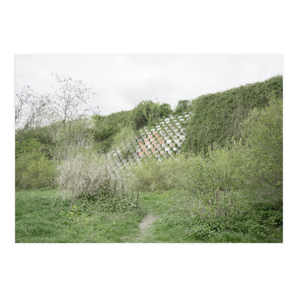 Green grass wall (Print Only)