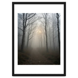 Ethereal Morning Light Breaking Through Dense Forest Fog thumbnail
