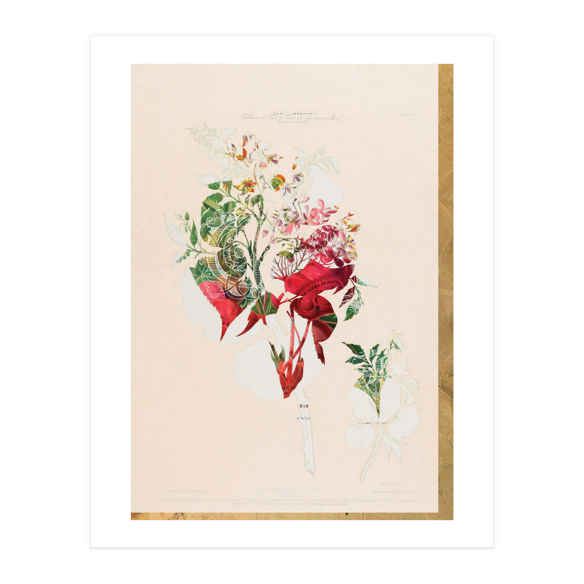 The First Plant · Aufbluehen (Print Only)