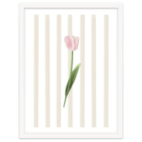 Single Tulip