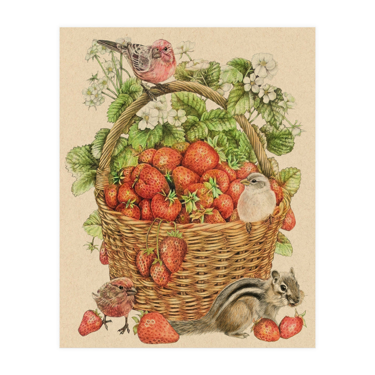 Chipmunk11x14 (Print Only)