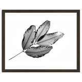 Branches and Leaves, 2016, 1 thumbnail