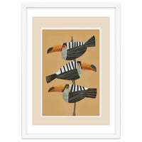 Tropic Trio