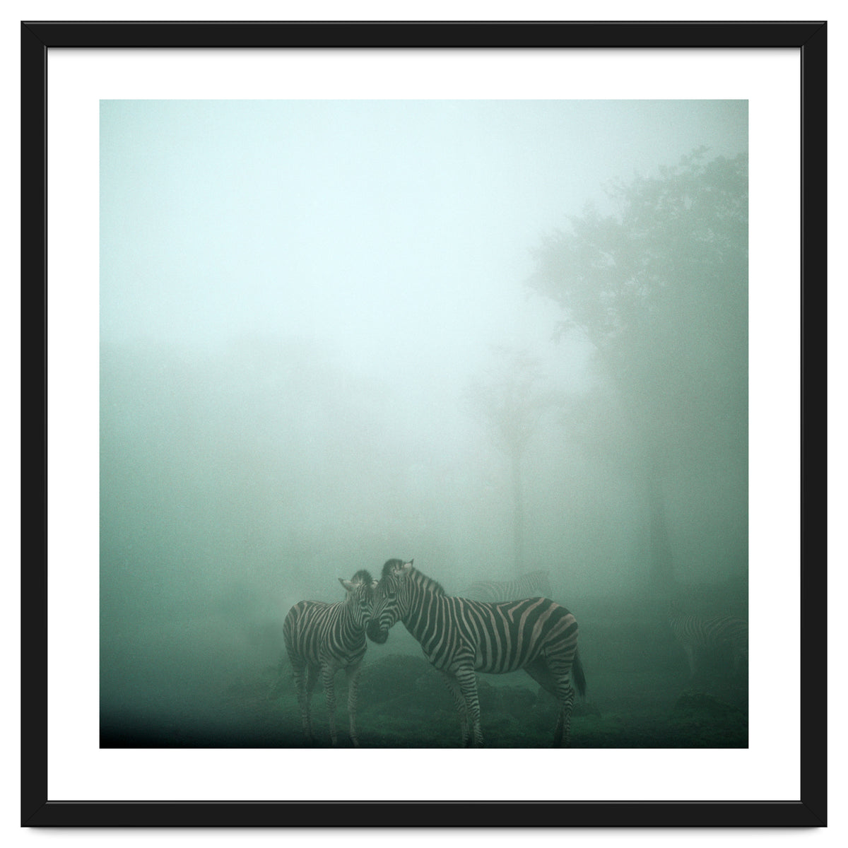 Silence of breath - 11