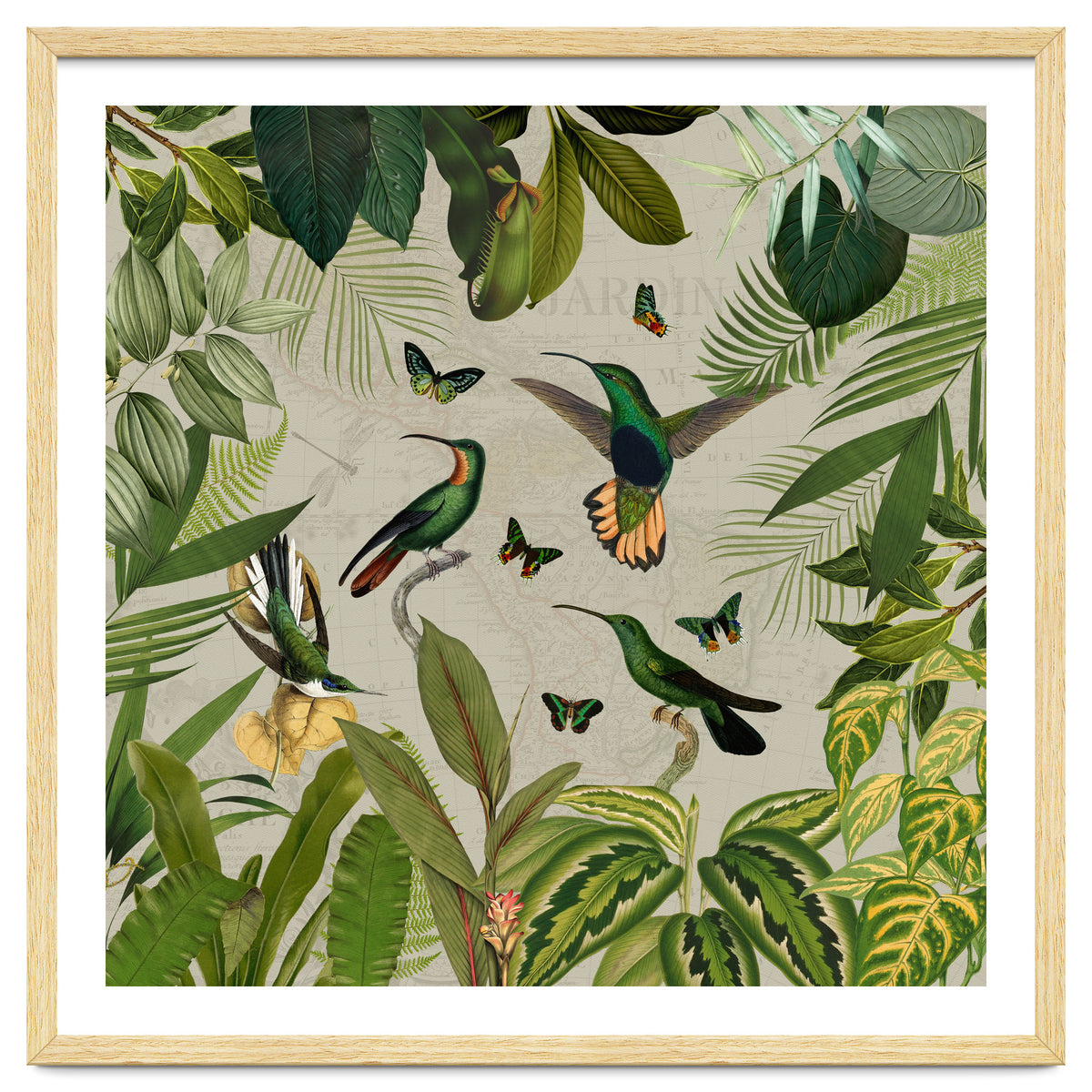 Vintage Exotic Hummingbirds Jungle