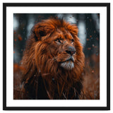 Majestic Lion King Of The Jungle Close Up Portrait thumbnail