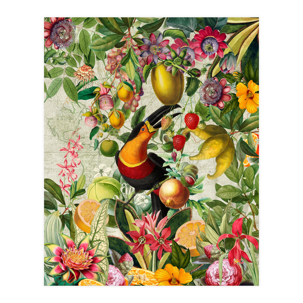 Toucan vintage jungle 1 (Print Only)