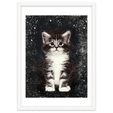 Bicolor Cute Kitten Portrait thumbnail