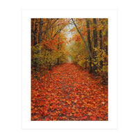 Lush Autumn Forest Path Covered (Print Only)