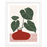 Philodendron Gloriosum plant thumbnail