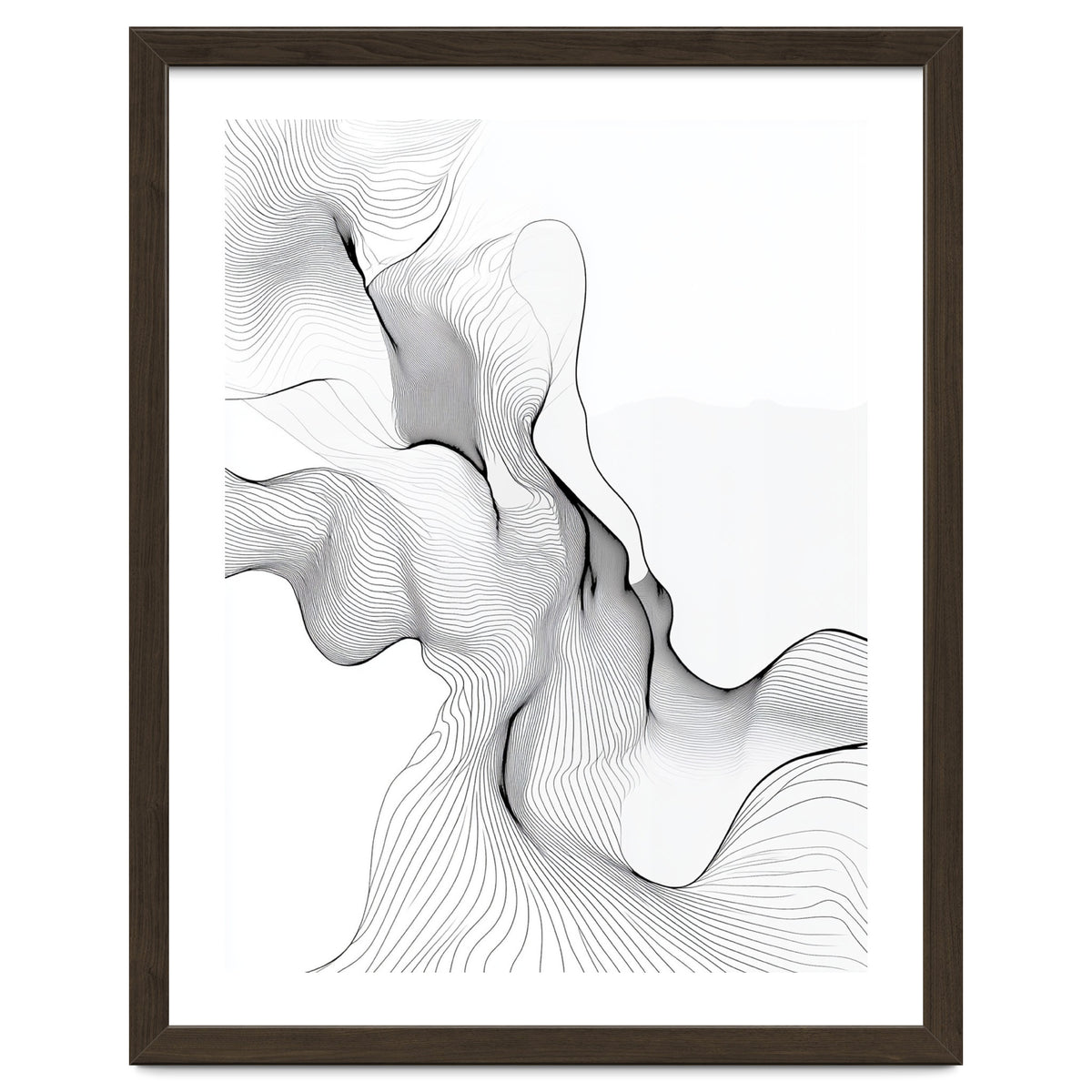 Abstract Black And White Flowing Lines