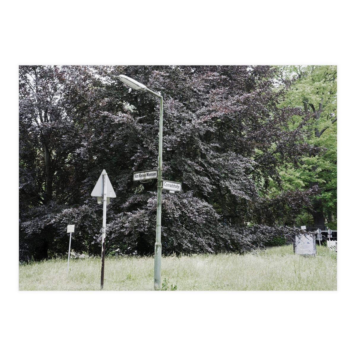 Signs at the corner of the street (Print Only)