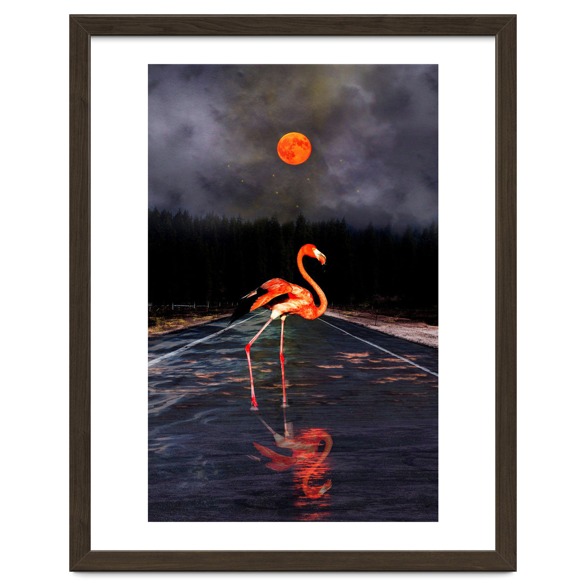 Flamingo and Red Moon