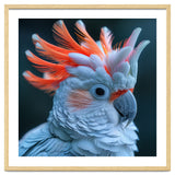 Cockatoo Bird With Orange Crest Portrait thumbnail