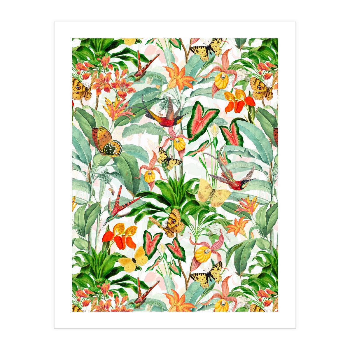 Birds And Butterflies In Tropical Jungle (Print Only)