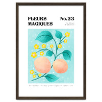 Magical Flowers No.23 Apricot Blossom