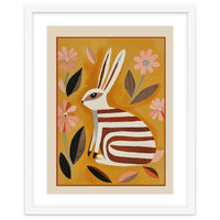 Striped Hare