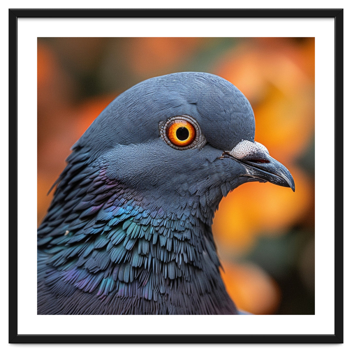 Close Up Of A Pigeon's Head And Neck