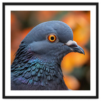 Close Up Of A Pigeon's Head And Neck