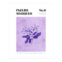 Magical Flowers No.8 Midnight Bellflowers (Print Only)