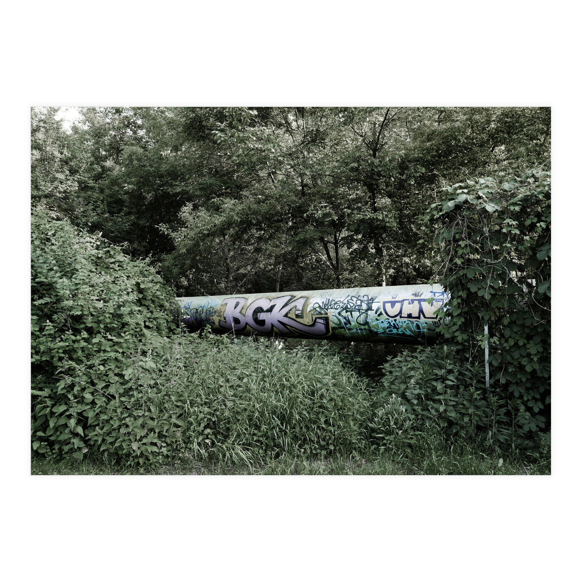 Graffiti pipe among the summer forest (Print Only)