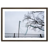 Net caught in a tree thumbnail