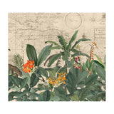 Explore The New World Wild Animals (Print Only) thumbnail