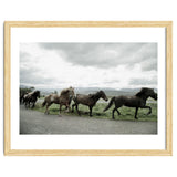 Running horses - Iceland thumbnail