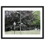 Signs at the corner of the street thumbnail