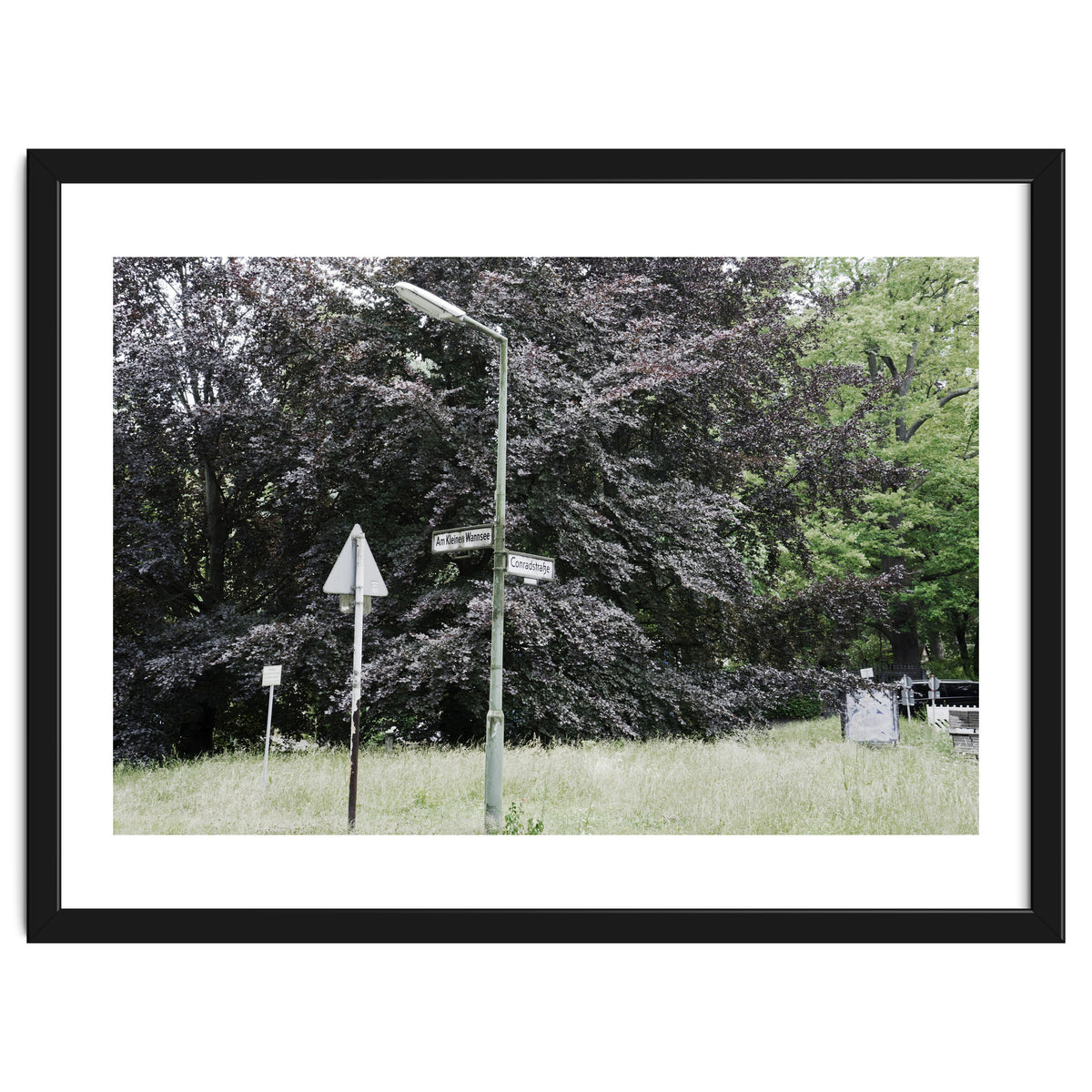 Signs at the corner of the street