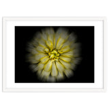 Backyard Flowers No 86 Color Flow Version thumbnail