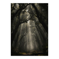 Enchanted Canopy: Mystical Forest Path (Print Only)