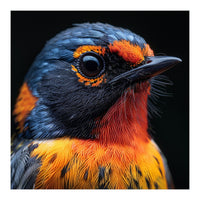 Vibrant Bird With Orange And Blue Plumage (Print Only)