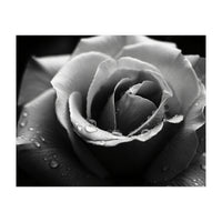 Ethereal Monochromatic Rose Petal Macro (Print Only)