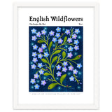 English Wildflowers | Forget-Me-Not thumbnail