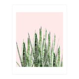 Botanical Balance (Print Only) thumbnail