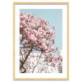 Spring Time thumbnail