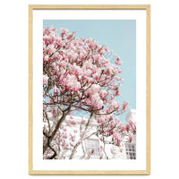 Spring Time