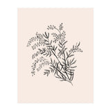 Acacia Botanical illustration (Print Only) thumbnail