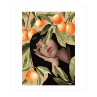 Tangerine Dream (Print Only)