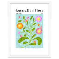 Australian Flora: Straw Flower