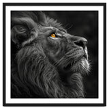 Majestic Lion Face Closeup Golden Eyes Black thumbnail