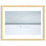 Seagulls in the Snow beach thumbnail