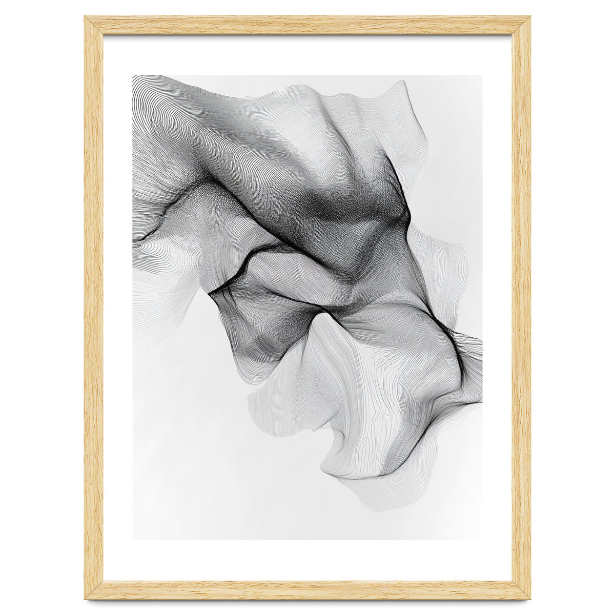 Abstract Black And White Flowing Lines Forming Organic Shapes And Forms