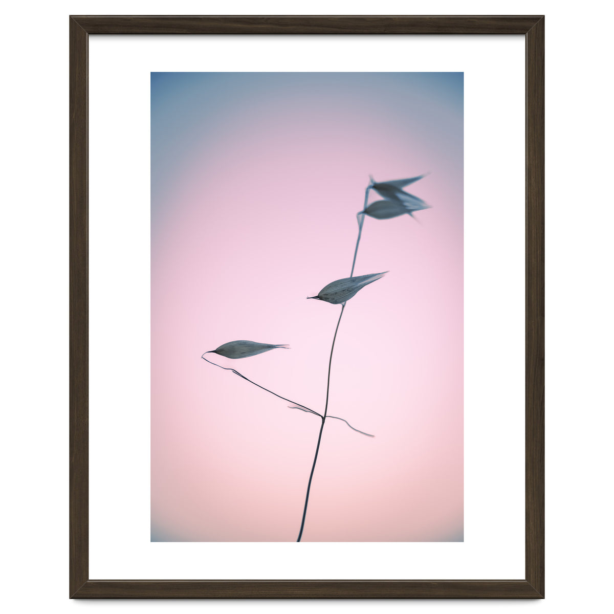 In light of current events V