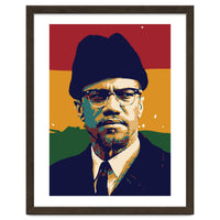 Malcolm X v2