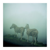 Silence of breath - 14 (Print Only) thumbnail